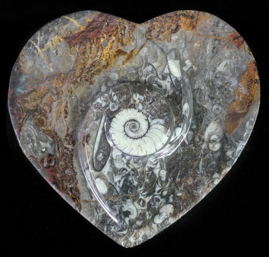 Heart Shaped Fossil Goniatite Dish #61272